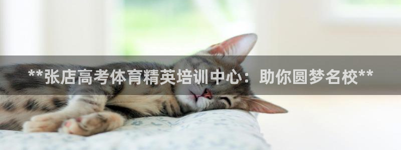 耀世娱乐科学：**张店高考体育精英培训中心：助你圆梦