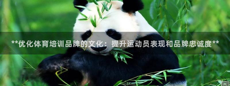 耀世娱乐登陆官网：**优化体育培训品牌的文化：提升运