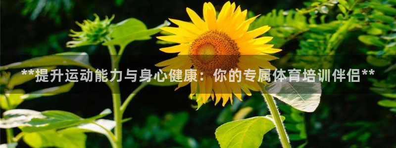 耀世娱乐网站下载：**提升运动能力与身心健康：你的专属体育培