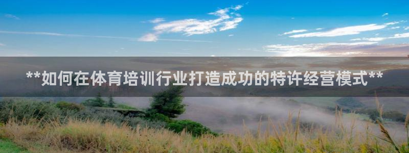 耀世娱乐辅助软件下载：**如何在体育培训行业打造成功