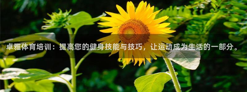 耀世娱乐辅助软件下载