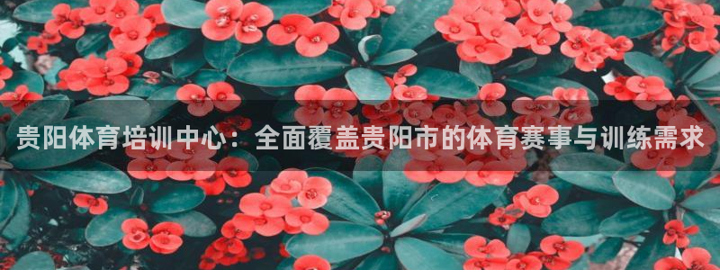 耀世小说全文免费阅读