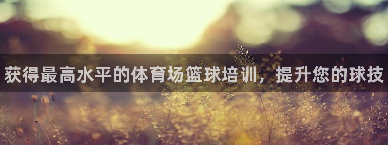 耀世娱乐招商注册 知乎：获得最高水平的体育场篮球培训，提升您