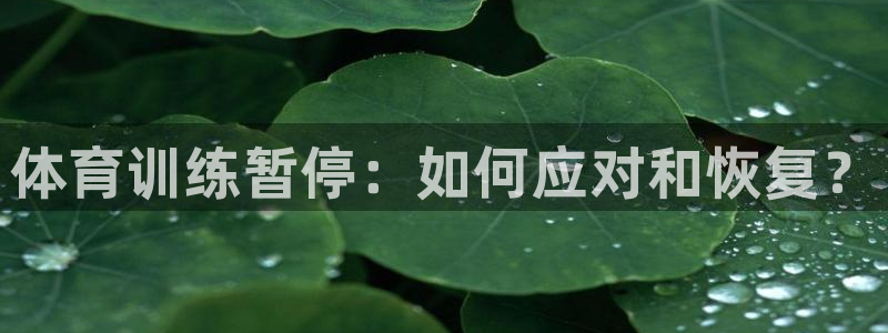 耀世娱乐联 585341：体育训练暂停：如何应对和恢复？