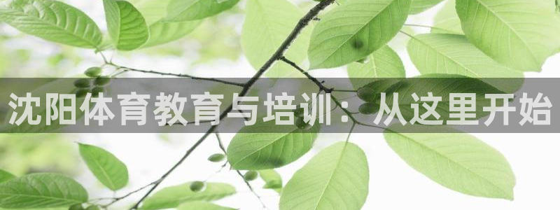 耀世天下网名好吗：沈阳体育教育与培训：从这里开始