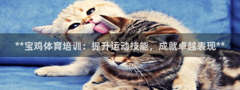 耀世娱乐挂机：**宝鸡体育培训：提升运动技能，成就卓