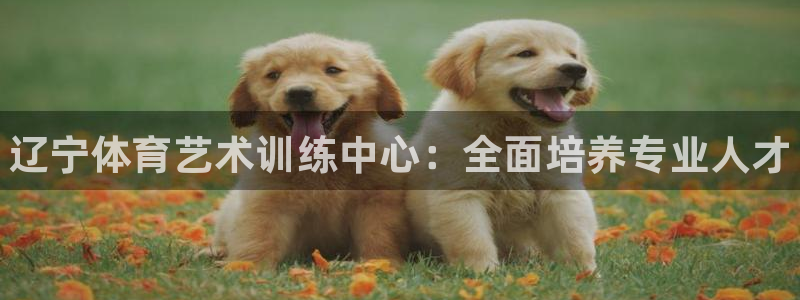 耀世小说全文免费阅读：辽宁体育艺术训练中心：全面培养